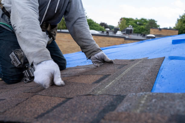 Roof Gutter Cleaning in Bellevue, KY